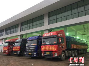 海口大型公益性農(nóng)副產(chǎn)品批發(fā)市場啟動試運(yùn)營，39家一級批發(fā)商入駐開啟惠民新篇章