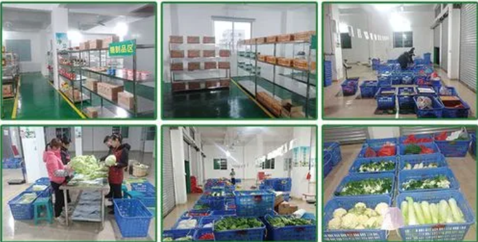 煜鮮農(nóng)副產(chǎn)品配送 從田間到餐桌，守護(hù)您的每一餐新鮮